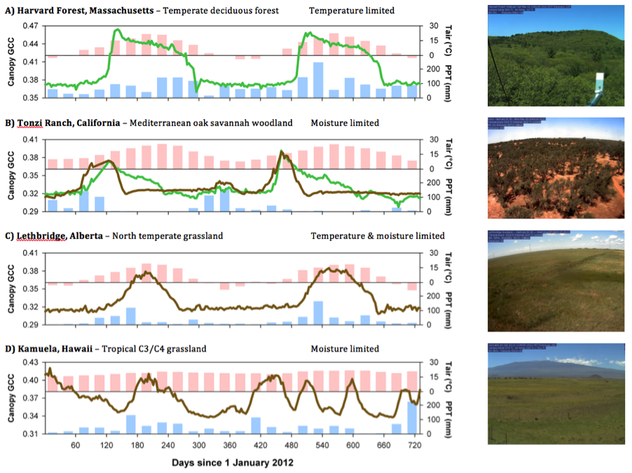 Phenology of various biomes.