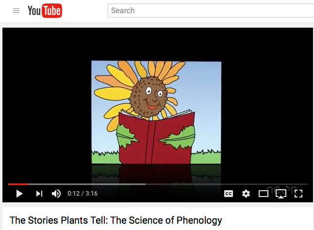 Phenology 101 Video: The Stories Plants Tell
