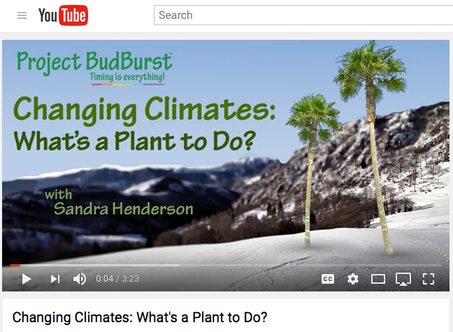 Phenology 101 Video: What's a Plant to Do?